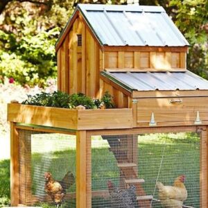 Chicken House Ideas