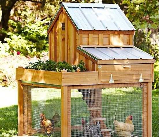 Chicken House Ideas