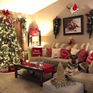 Decorating Ideas Living Room For Christmas