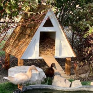 Duck House Ideas